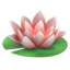 (:lotus:)